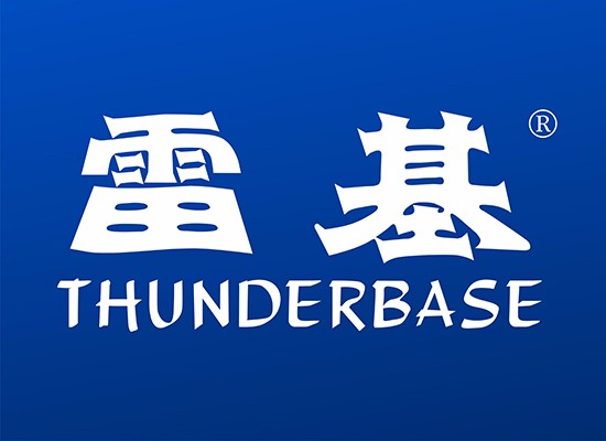 雷*